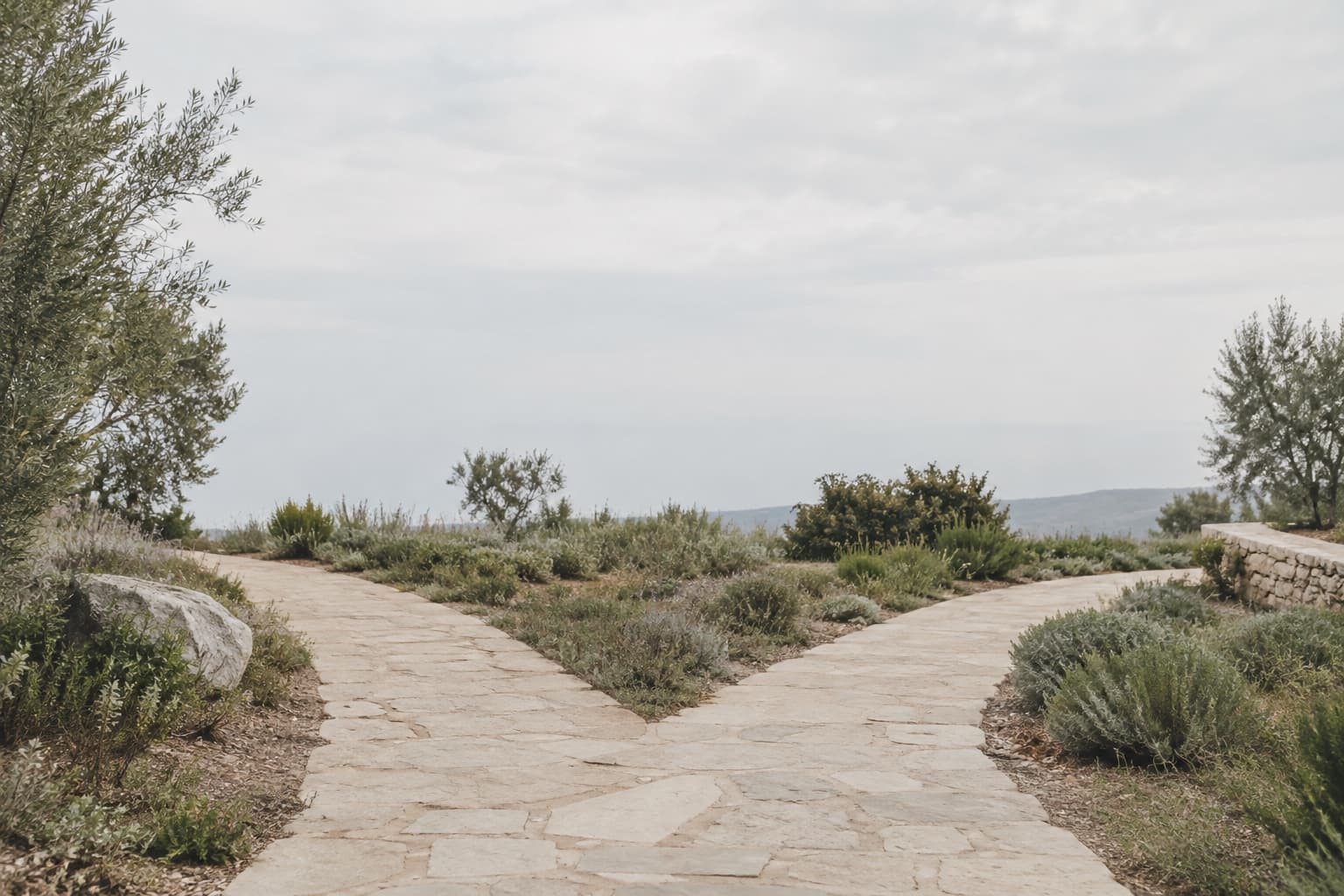 A stone path dividing into two directions